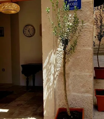 San Teodoro 宾馆 科尔丘拉